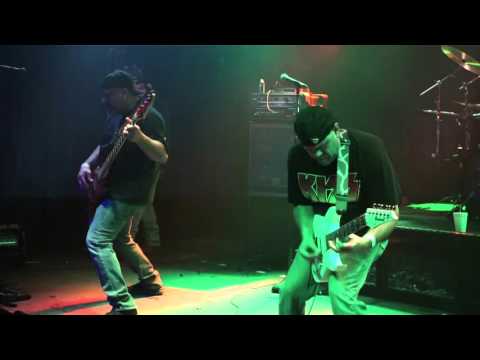 SHY FOXX         FOXX TROTT