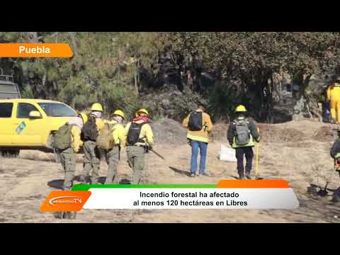 Incendio forestal en Libres Puebla