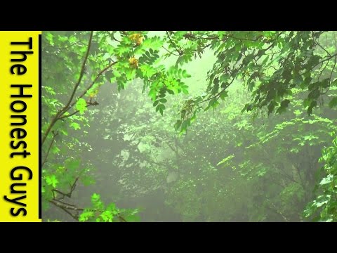 download lagu mp3 mp4 The Honest Guys Rain, download lagu The Honest Guys Rain gratis, unduh video klip The Honest Guys Rain