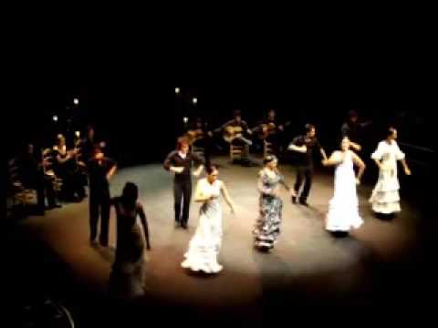 Puro Arte Flamenco 2009 - Sonikete Flamenco (Jose Galvan) - PhotoHispalis 2009 copyright