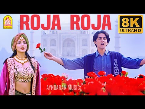 ரோஜா ரோஜா - 8K Video Song | Roja Roja | Kadhalar Dhinam | A.R. Rahman | Kunal | Sonali Bendre