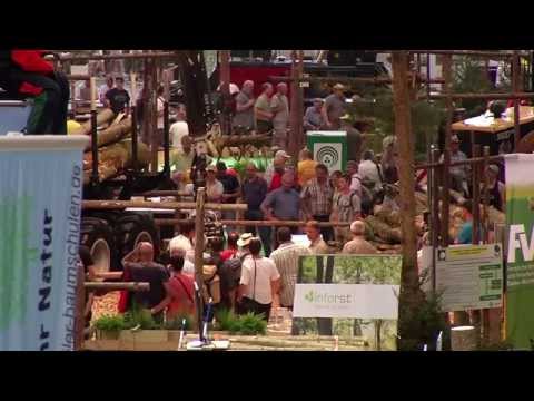 Shredding, chopping, sawing and thrilling extreme sports at INTERFORST 2014