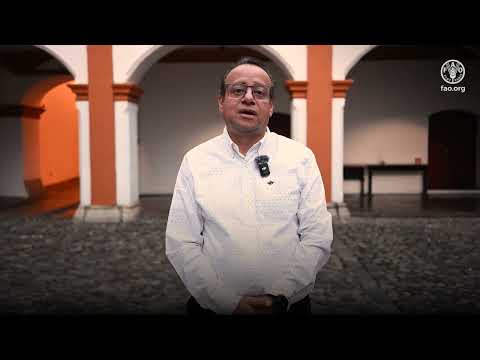 Armando Alanís, Gerente del Sistema Nacional de Monitoreo Forestal (México)