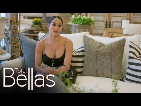 Kathy tells Nikki she doesn’t want Artem in the family photo: Total Bellas, April 23, 2020 Video