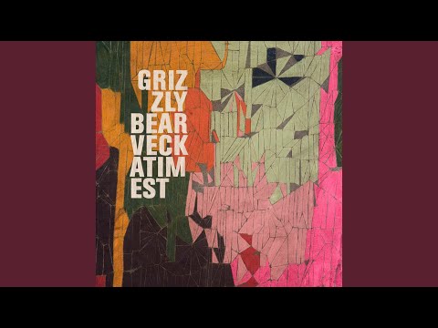 Hold Still - Grizzly Bear