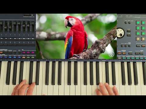 KorgStyle - Wild Nature  Relaxing Euro Disco & Danekoo1 Instrumental 2026