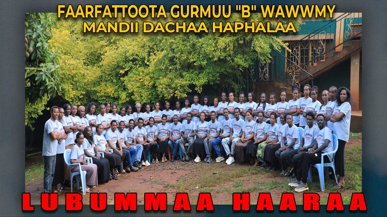 LUBUMMAA HAARAA /FAARFATTOOTA GURMUU 'B' WAWWMY MANDII DACHAA HAPHALAA