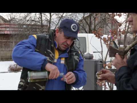 BADNJI DAN U GOMJENICI