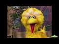 Classic Sesame Street One In A Million Song With Big Bird And Gina