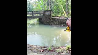 Download lagu Joran melengkung tajam #mancing mp3