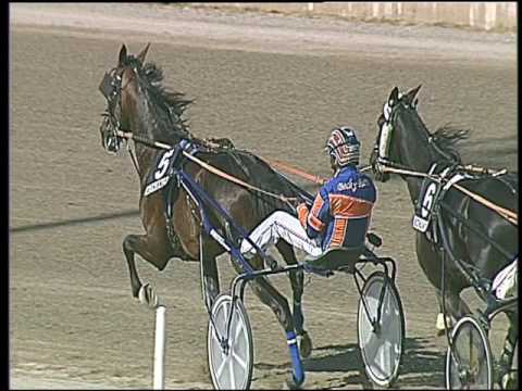 Trotto 13/05/2016 - 5° corsa