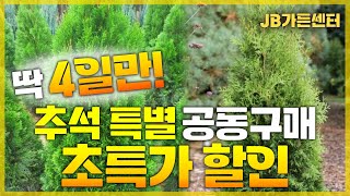 딱 4일동안만 !! 진행합니다 !! 초특가 할인 이벤트 ! 추석특별 공동구매 Start!!!![JB가든센터_…