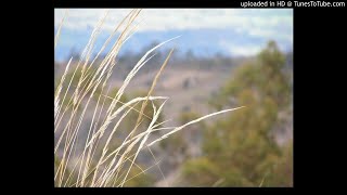 Lucian Green - Breathless