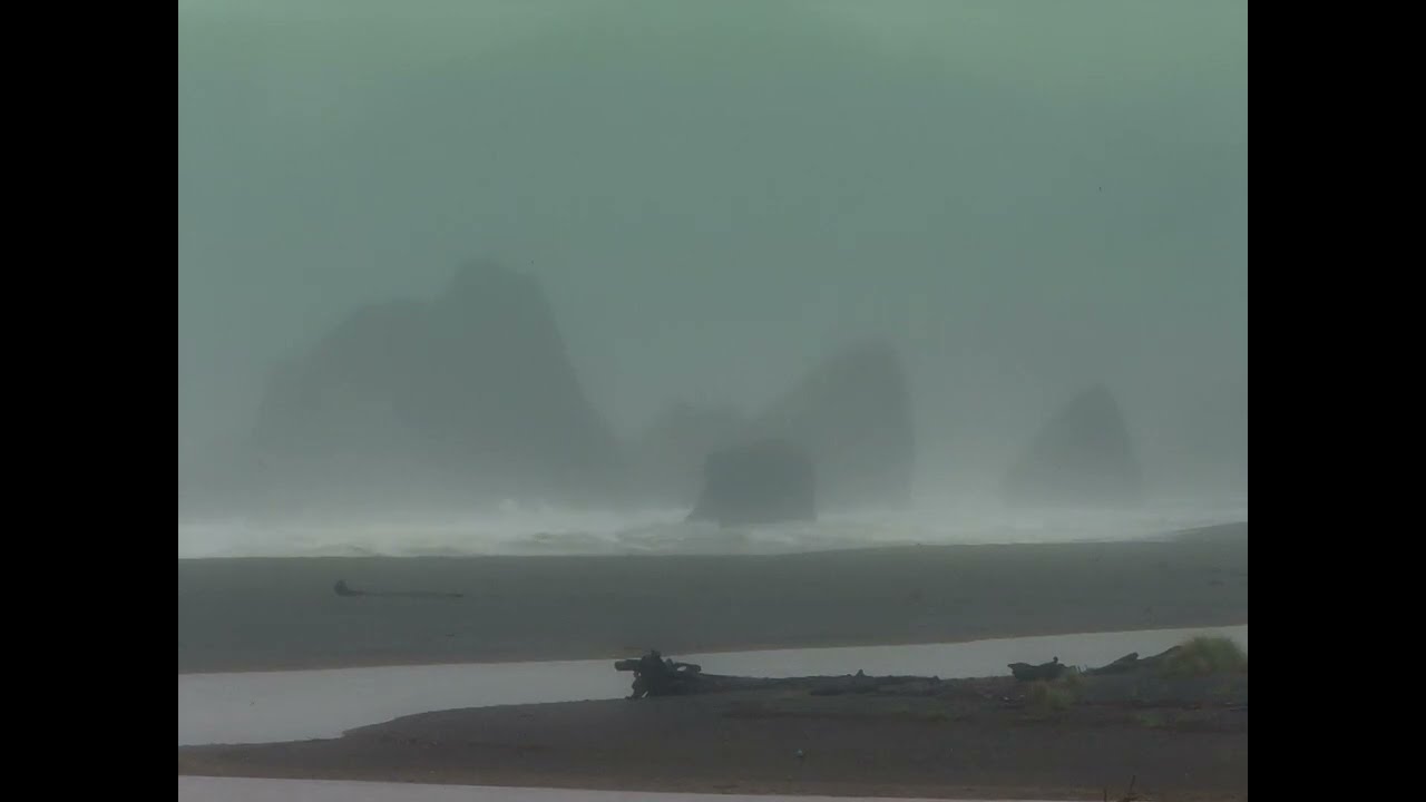 Paluma Sound - Real Flow