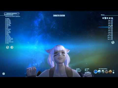 Final Fantasy XIV Realm Reborn 01 06 2014   17 55 05 04