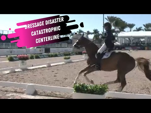 Dressage Disaster: Catastrophic Crash For Carrie Schopf In The Grand Prix Dressage Ring