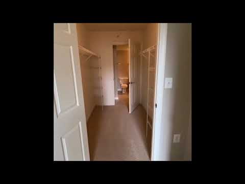 Tour the Dominion (2B) Floor Plan