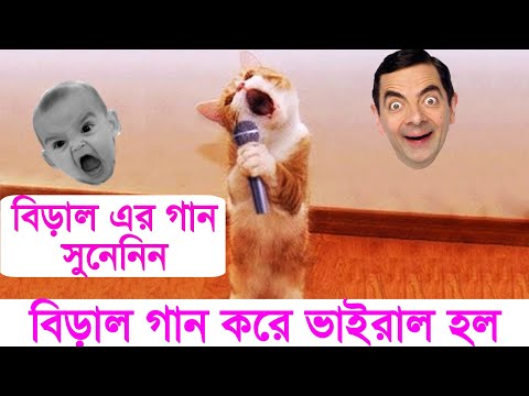 বিড়ালের গান শুনে সবাই অবাক হয় গেল | #Cat #dog #funnycat #funnydog