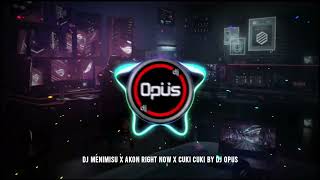 Download lagu DJ MENIMISU X CUKI CUKI X AKON RIGHT NOW FULL BASS TERBARU 2022 mp3