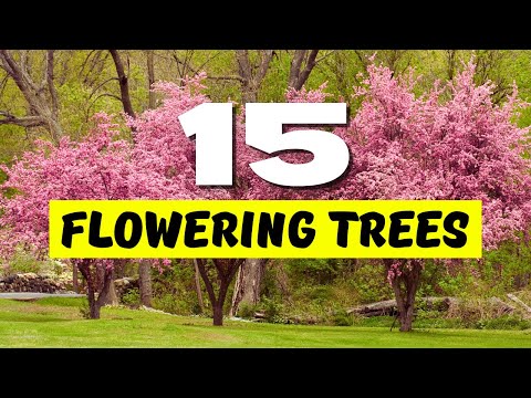 TOP 15 BEST Flowering Trees for a STUNNING Garden 😍 Make Your Yard SHINE! ✨