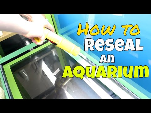 How to Reseal an Aquarium | Resealing Our Fish Tank