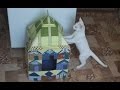 Как сделать домик для кошки 