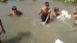 preview picture of video 'Boys Swimming 7th October 2014(B-Baria)'