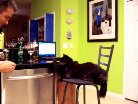 Pupu playing on chair part 2 08 14 2009