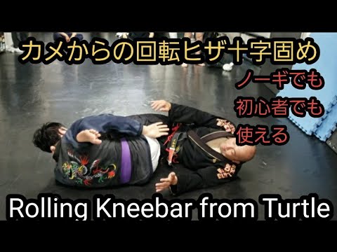 カメからの回転膝十字固め。Rolling Kneebar from Turtle.