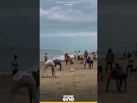 കുതിച്ച് തുള്ളി മത്തി; മലപ്പുറം തിരൂർ ഉണ്ണിയാലിൽ ബീച്ചിൽ മത്തി ചാകര
