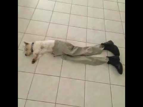 Orochi e Doisb vs Dinho e Azevedo  // Desafio 4x4 batalha de dupla