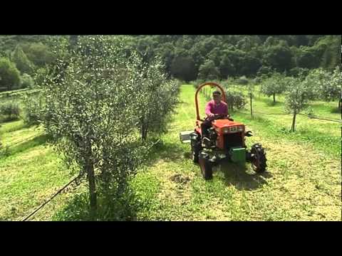 estate in appennino 18.07.2014