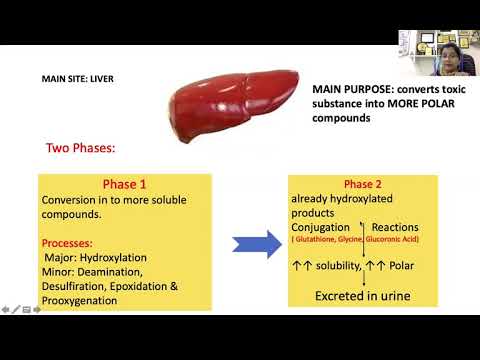 Metabolism of Xenobiotics