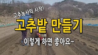 고추농사 시작! 고추밭 만들기 이렇게 했어요. 관리기 작업, 점적테이프, 비닐멀칭 등