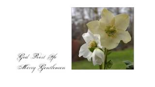 The Chieftains - ♫ God Rest Ye Merry Gentlemen ♫♫