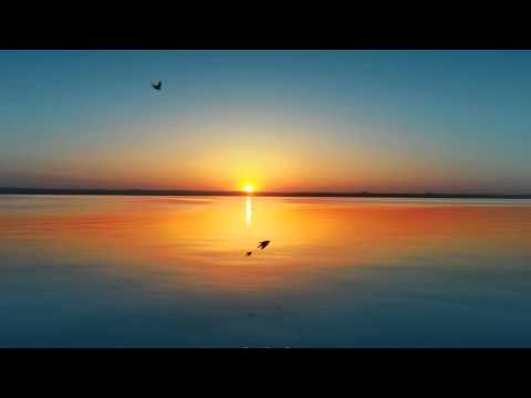 Wolftek ft. Nori - Miss Those Days