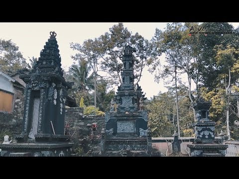 dolan-sedela-apvlog-1