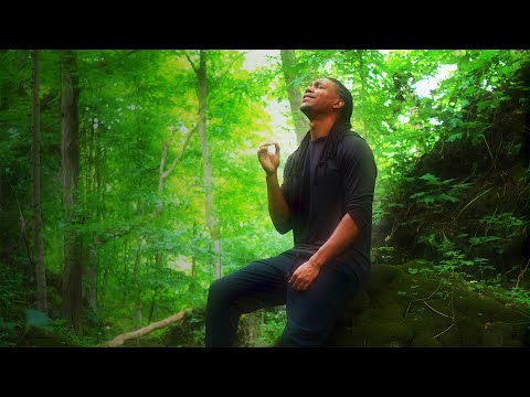 Enya - Deora Ar Mo Chroí (Tears on My Heart) | A Cappella Cover