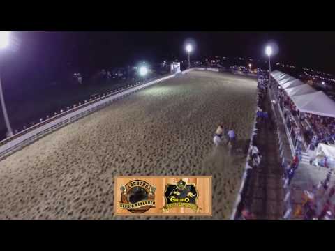 Zeca Bota Bom e Elson Vaqueiro-Sertão Animado