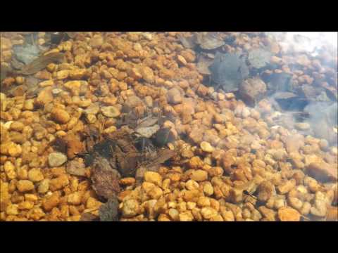 Fruchtzwerg vs. DMR | CRT 2017 16tel-Finale HR [prod. by 6K7 Beatz]