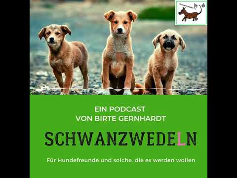 21 Alex hilft...Thema: Welpenschule - Schwanzwedeln