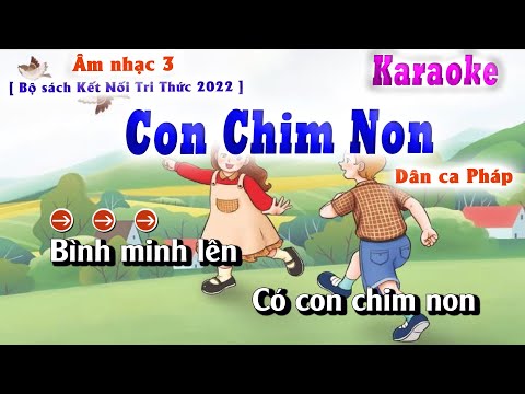 Karaoke - Con Chim Non ( Bộ Sách Kết Nối tri Thức Lớp 3/2022 ) Lớp Nhạc Doremi