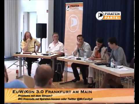 EuWiKon 3 - Panel: Jugendarbeitslosigkeit 17.August 2013 - Piratenpartei