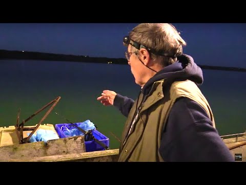 Solo Pier Fishing at Night for Creepy Conger Eels!