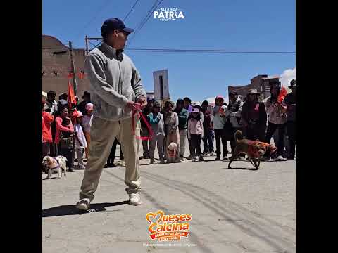 gran PERROTÓN Uyuni - Potosi