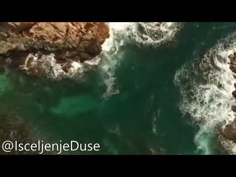 Opraštanje - Isceljujuća moć uma