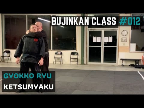 Ketsumyaku | Bujinkan Martial Arts Class #012 | 2021
