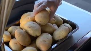 Fresh Potato - A brilliant way to start a business with minimal investment and high profitability!