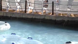 Ghost captured at Camel Back Park