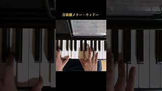 Download lagu 喜歌劇メリー・ウィドウ/レハール　ピアノソロ mp3
